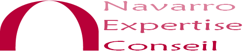 Logo Navarro Expertise Conseil